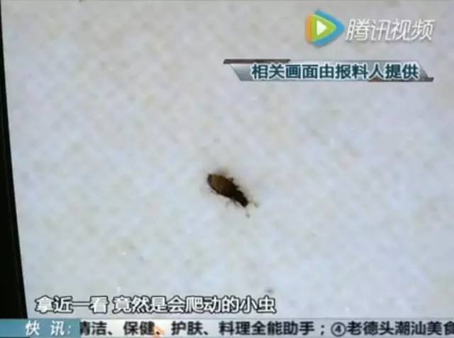 这种枕头爬出上千只虫,这种枕头大家都爱用