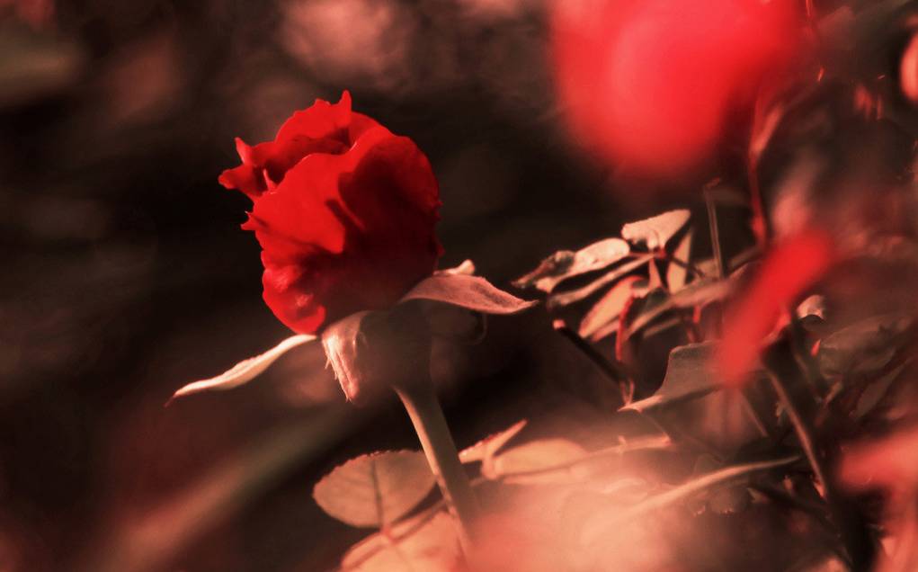 10本书籍,10本新书推荐