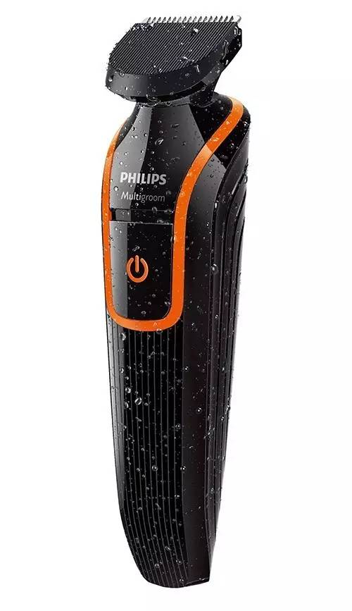 鑳¤鍏亾棰佸鍏哥ぜ,鑳¤鍏亾棰佸