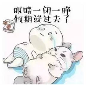 我敢打赌这个假期你一定见过他们