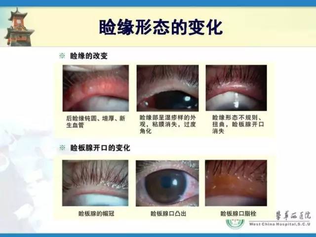 邓应平坐诊医院,邓应平成都坐诊