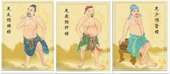 红墙健康行十二经络养生操完整版,经络养生调理活动