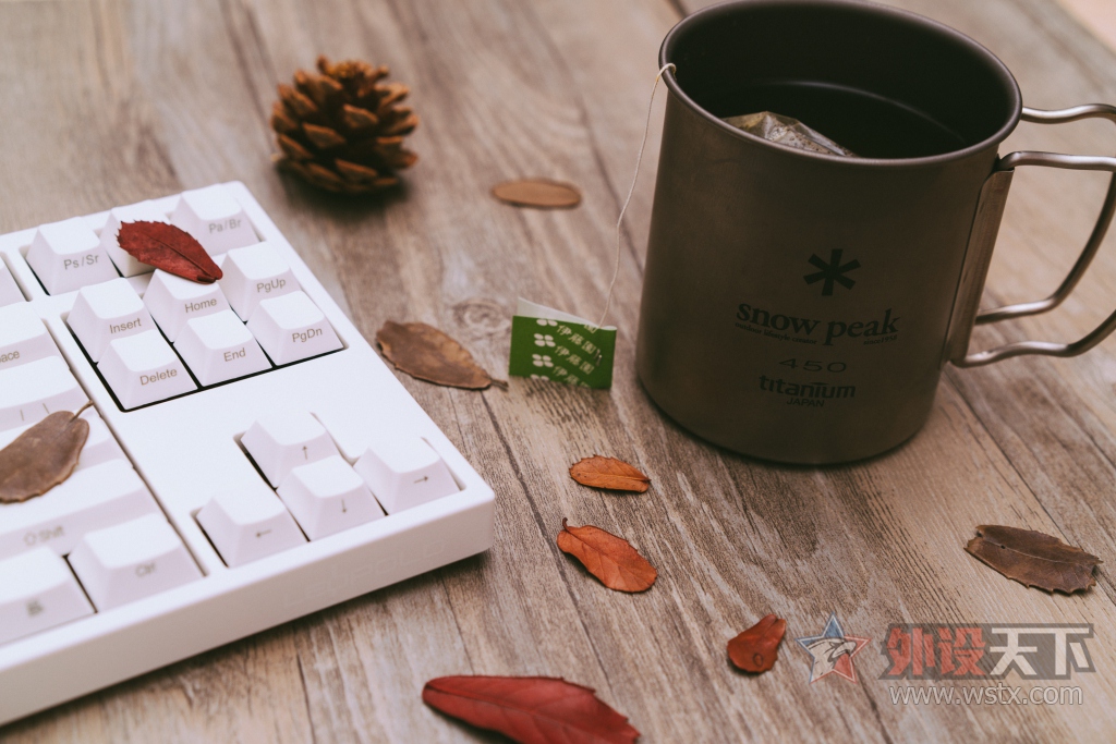 烧友评测电脑,leopoldfc980红轴评测