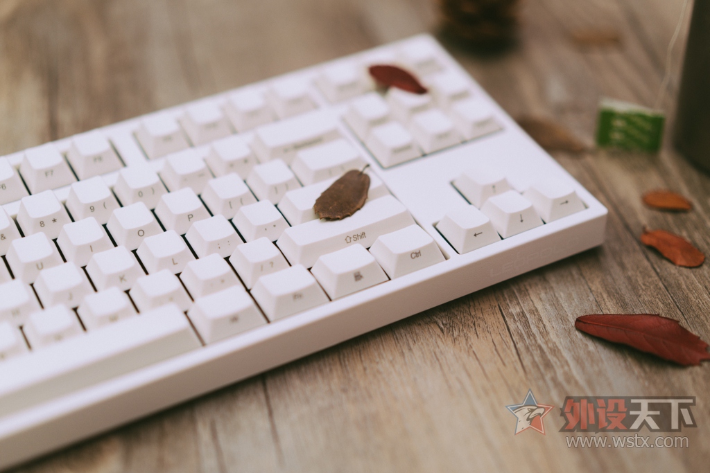 烧友评测电脑,leopoldfc980红轴评测