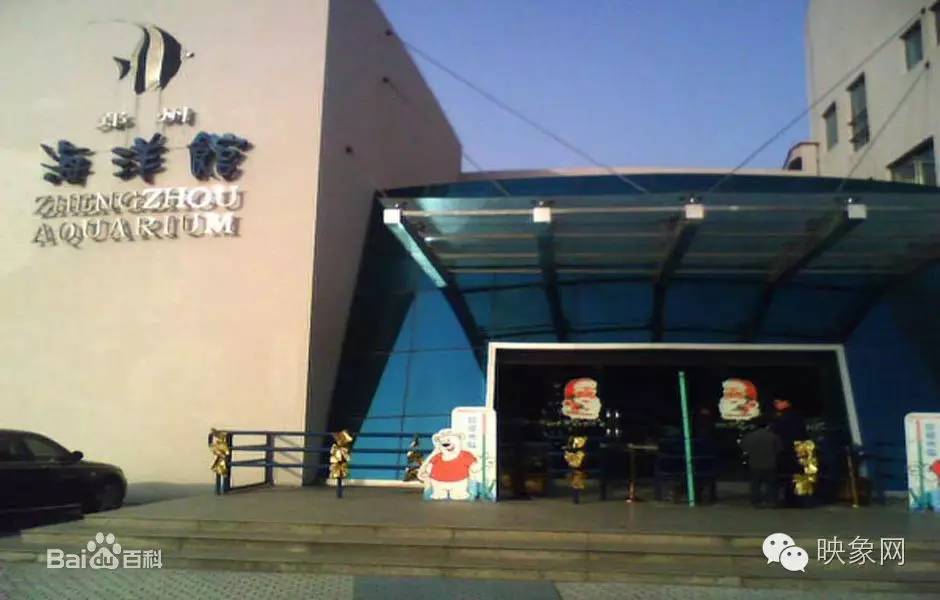 横空出世河南,横空出世最新消息