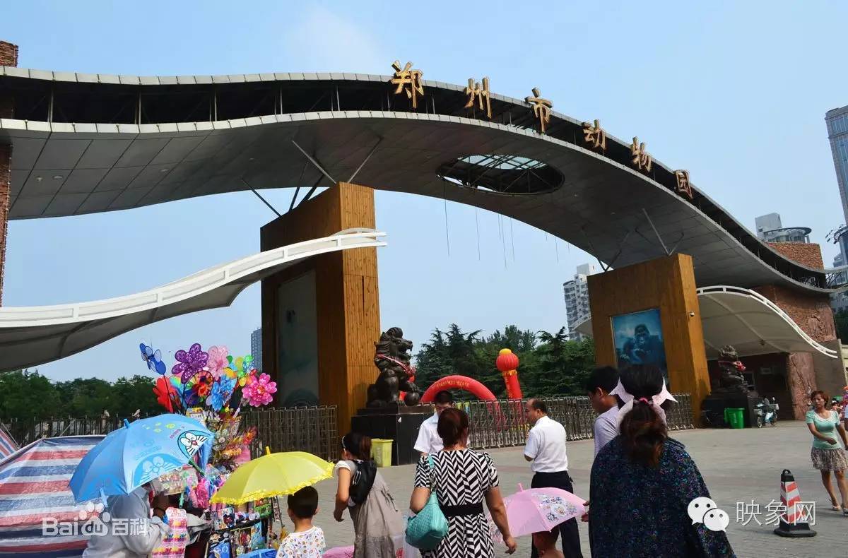 横空出世河南,横空出世最新消息