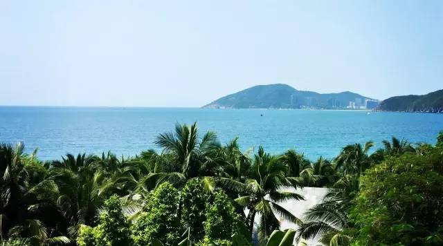 为了拯救这惊心动魄的睡眠，我要下单一只四位数的枕头