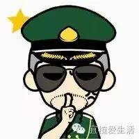 养花容易犯错的六大误区,养花易犯错误