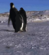 脚扭伤用酒精点着火揉可以吗,脚扭伤了擦药酒是揉还是不揉