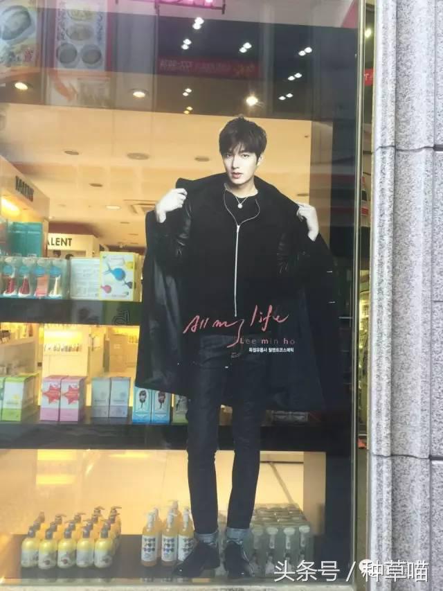 老司机带路买车不迷茫,老司机带路游广州