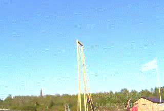 爱情搞笑动态图片,爱情搞笑动态图