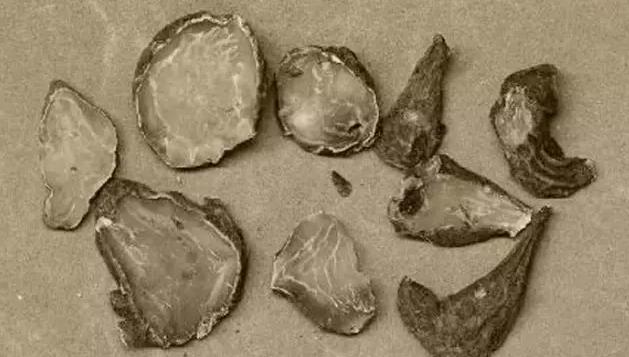 东直门爆炸事件,炸弹狂人原事件