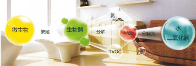 酒精能去除家具油漆味吗,烤漆家具油漆味重怎么去除