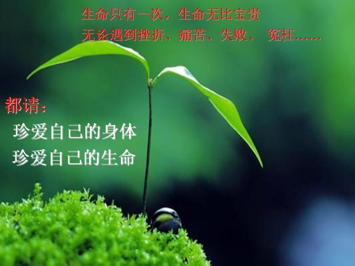 一次卖卵21颗，女孩，你的青春值多少钱？