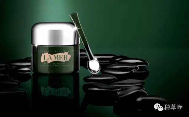 2021眼霜十大排行榜推荐,蜂胶眼霜抗皱去细纹第一名推荐