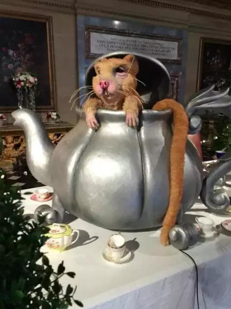 英国留学假期一览表,英国留学怎样才能留在英国