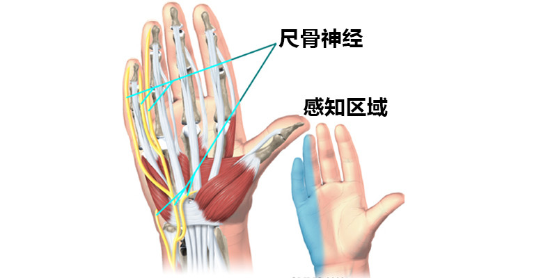 骑行手掌疼,骑行裆部麻木