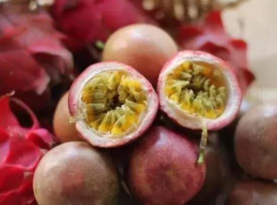 word哥经典剪辑,word哥wwe