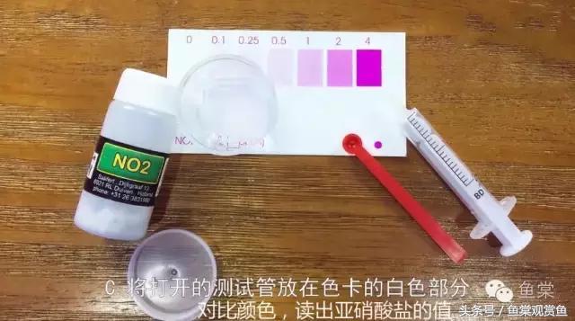 养鱼水质测试一般测试哪几种数值,新手养鱼水质怎么调理