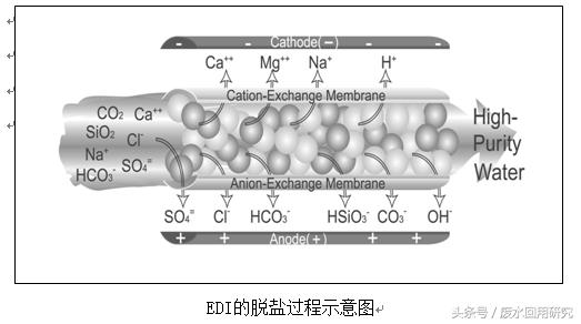edi系统的功能,苏州新款edi设备调试