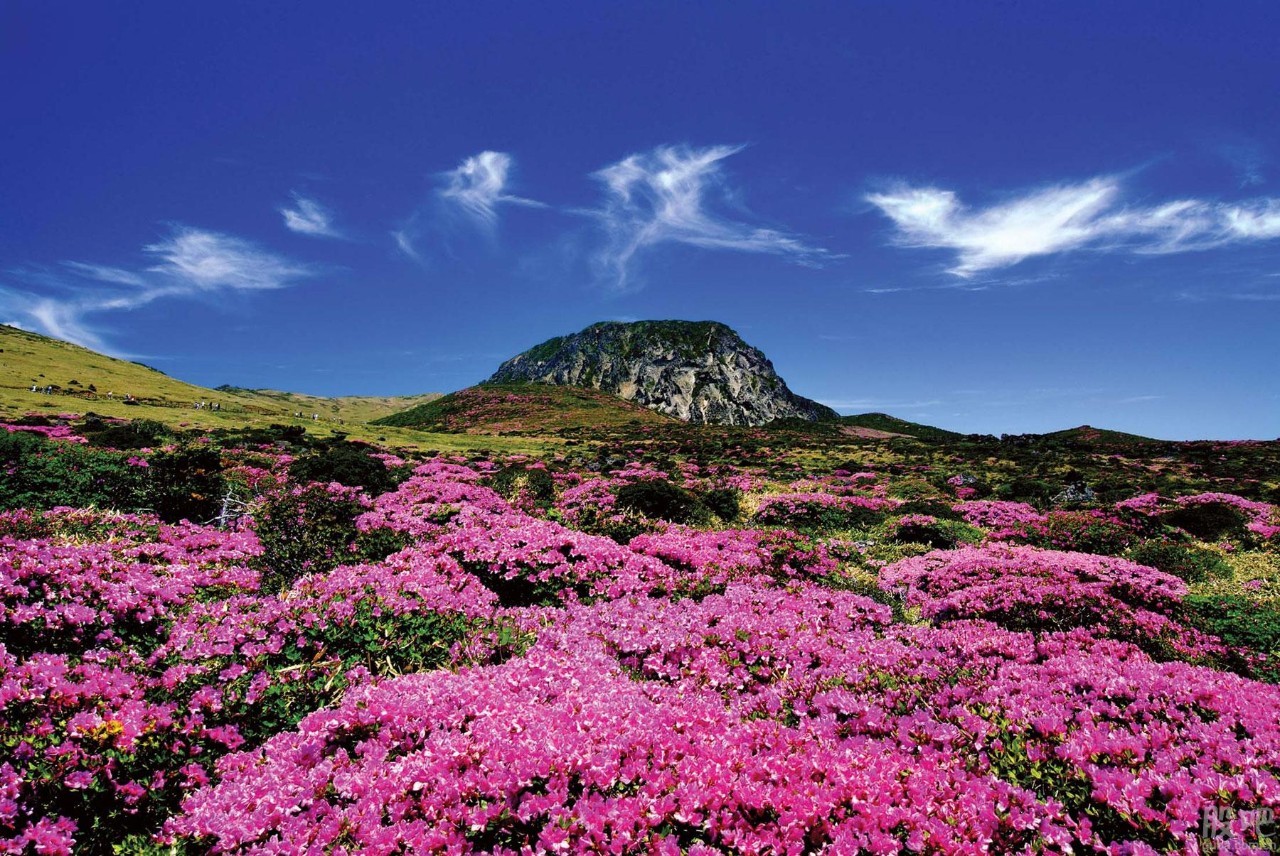 免签证出国需要什么手续,免签和落地签国家旅游推荐