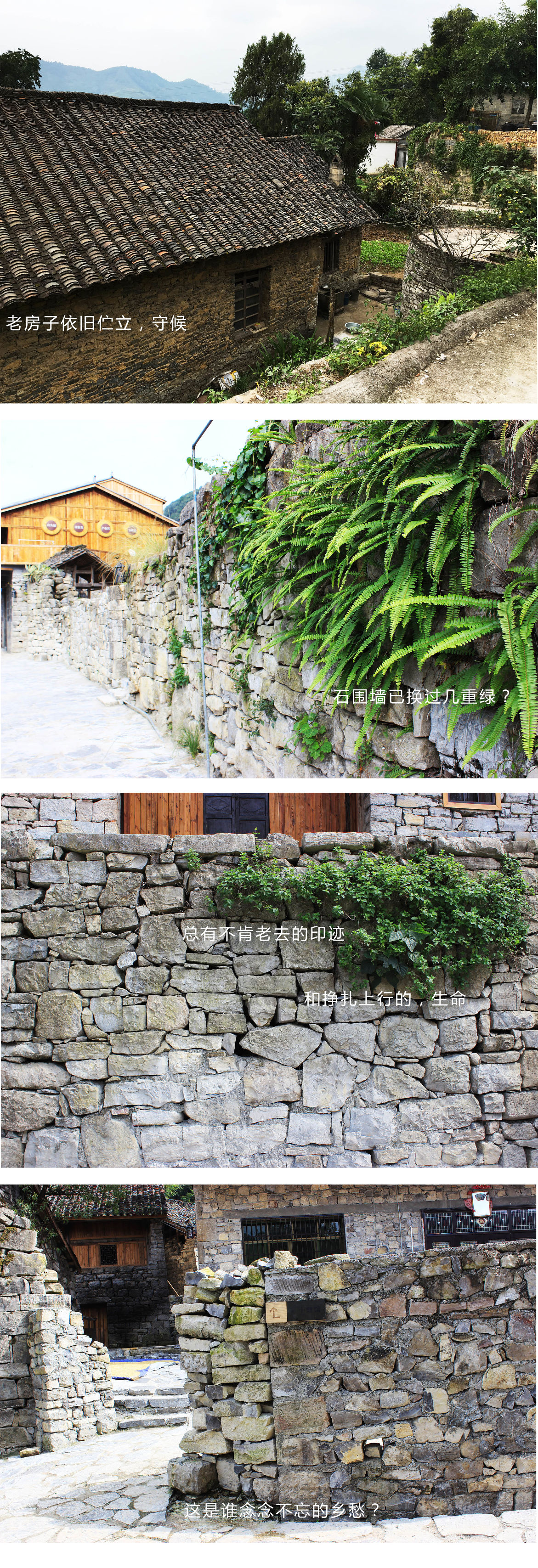 贵州雨后的大山美景,秋天的贵州大山这里仿佛就是仙境