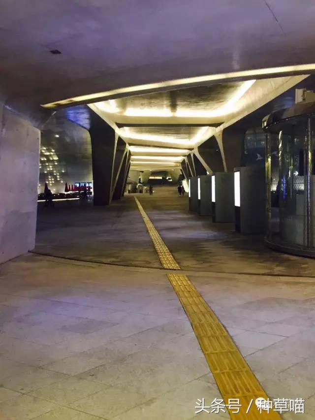 老司机带路买车不迷茫,老司机带路游广州