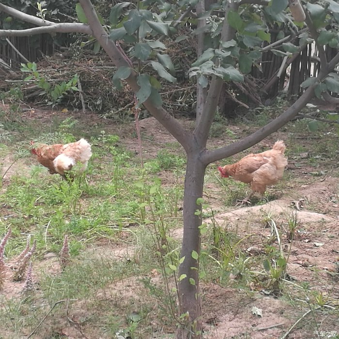 奥迪a6l2016款30fsi舒适型实拍,2016款奥迪a6l评测1.8t用车感悟