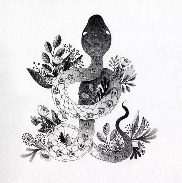 插画魔卡少女樱,插画少女和猫图片