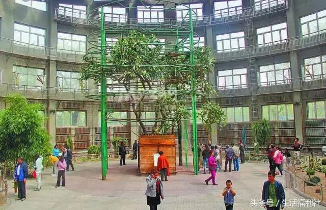 最能代表哈尔滨的图,哈尔滨城市形象符号