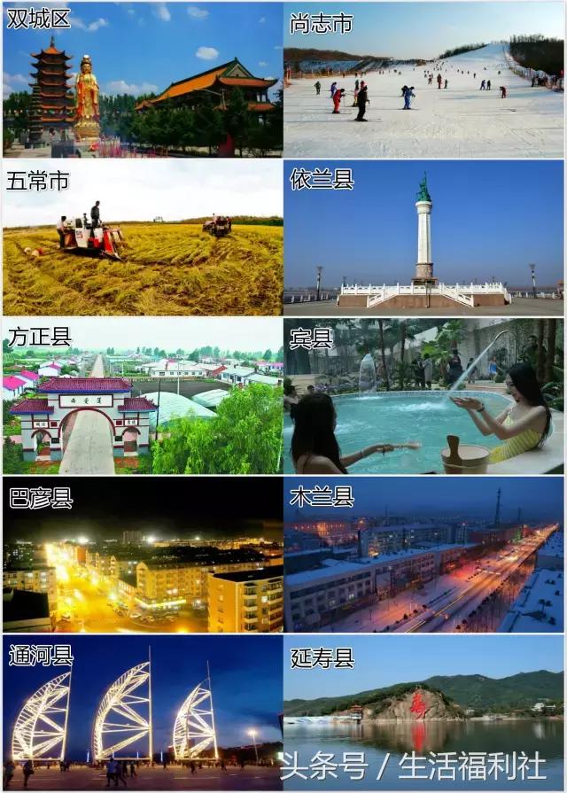 最能代表哈尔滨的图,哈尔滨城市形象符号