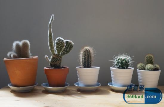 治好手足癣就这么简单！只需1个小偏方