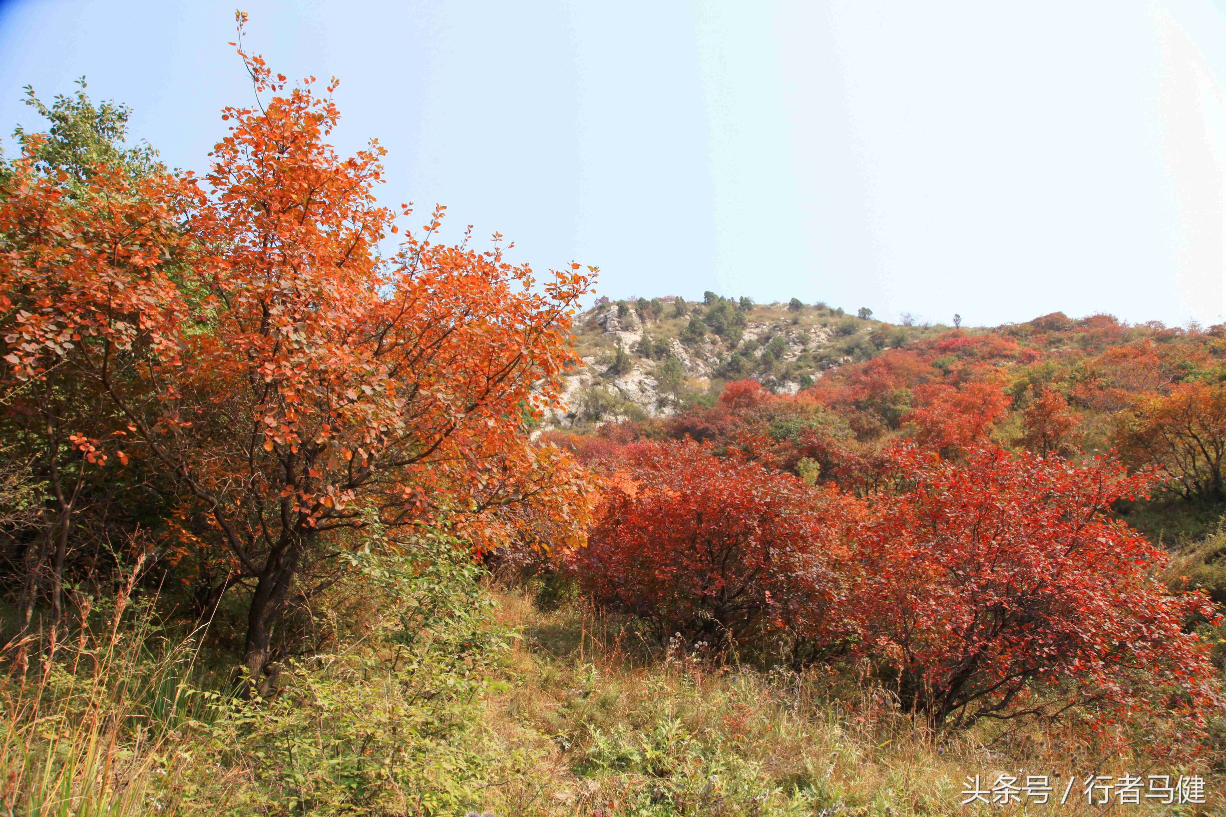 错过了邢台云梦山，太行山最大的红叶区，就相当于错过了整个秋天