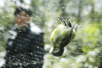 里皮该如何打造国足,里皮最近讨论国足