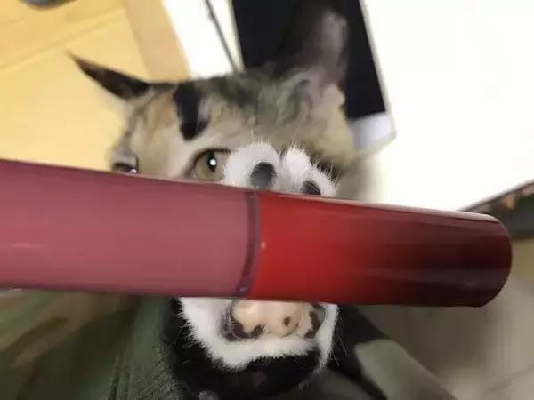 从高价到低价,从平价到小贵护肤品