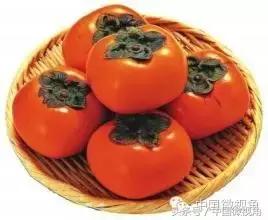 吃柿子喝奶中毒,柿子和酸奶真的会中毒吗