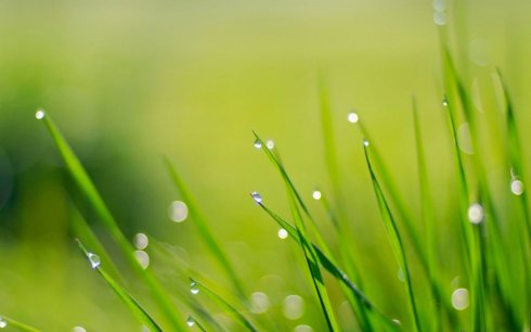 控制糖尿病的5个自然疗法,负离子对糖尿病有何作用