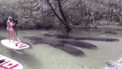 媳妇和小姨子吵架咋办,媳妇太淘气