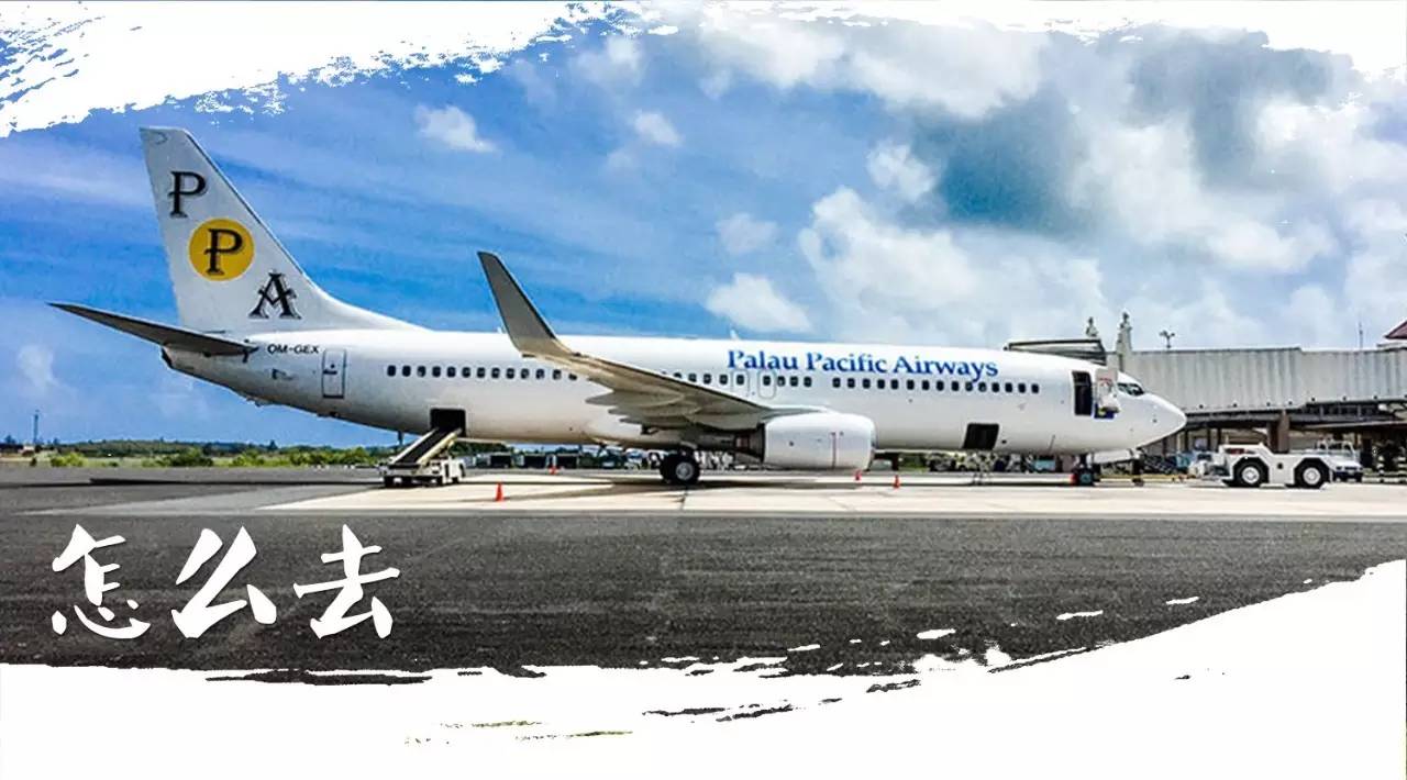 怎么去帕劳旅游,帕劳攻略