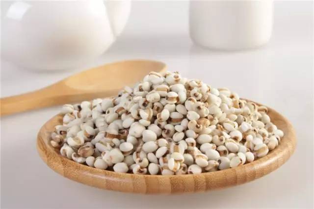 如此强大的薏米，之前是我无知了