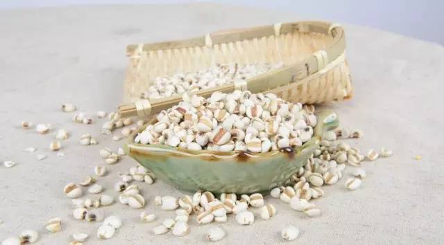 如此强大的薏米，之前是我无知了