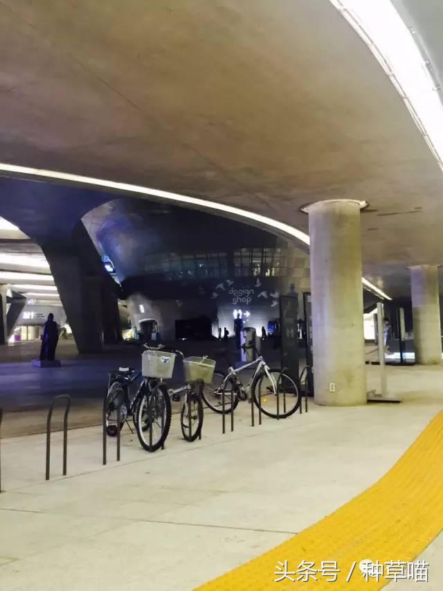 老司机带路买车不迷茫,老司机带路游广州