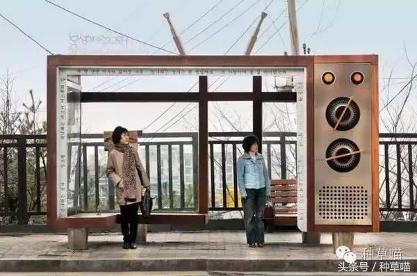 老司机带路买车不迷茫,老司机带路游广州