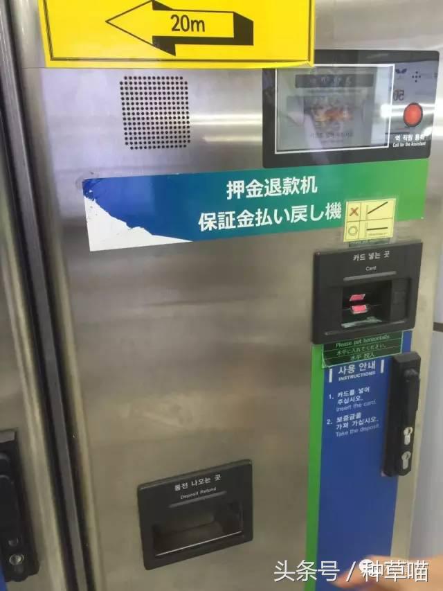 老司机带路买车不迷茫,老司机带路游广州