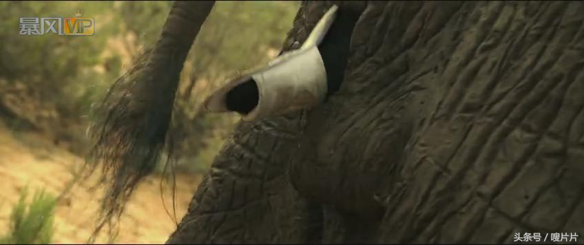 鐜涘痉鍒舵潠,鐜涘痉鍒舵潠鏄粈涔堟