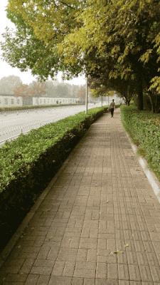 xperiaxz,绱㈠凹xperiaxz璇︾粏璇勬祴