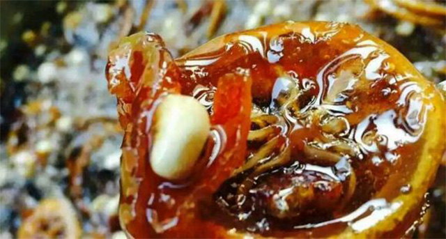 宝宝入秋老是反复咳嗽,小宝贝老是咳怎么办