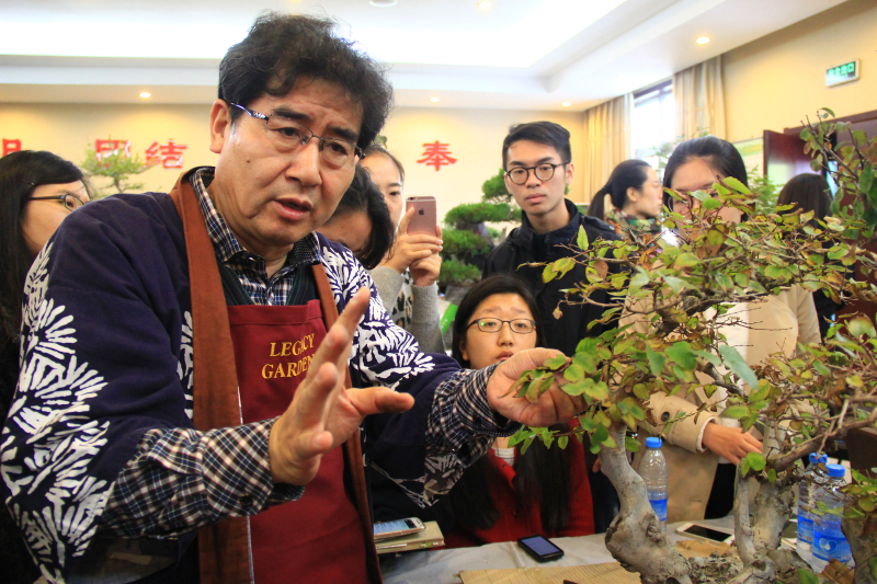 哪些人需要正畸治疗,哪些人需要美容养生