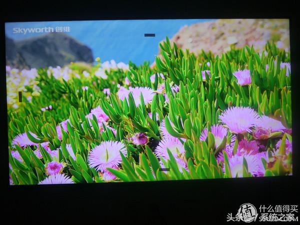 熊猫le65n18s-ud型号在哪看,熊猫le55f88s-ud黑屏