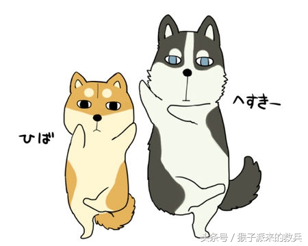 觉得男朋友是智障怎么办,感觉男朋友是智障